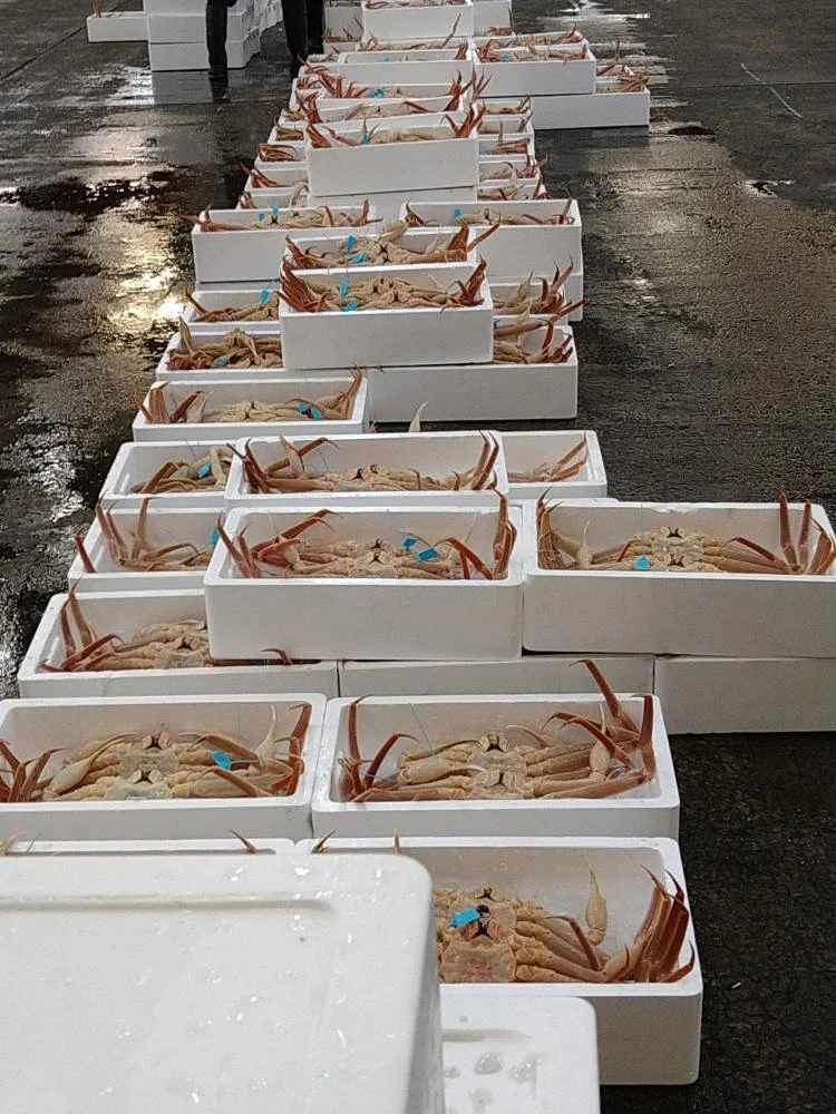 Kar yengeçleri rekor fiyata satıldı duyanın ağzı açık kaldı